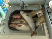 10062011157.jpg