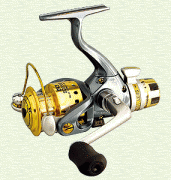 TICA VENUS SD.gif