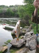 IMG_3626.JPG