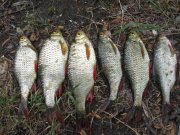 IMG_3656.JPG