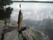 IMG_3679.JPG