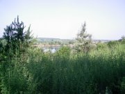 18.06-9.jpg