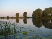 IMG_0086.jpg