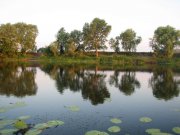 IMG_0087.jpg