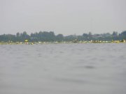 P6180020.jpg