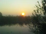 DSC04891.JPG