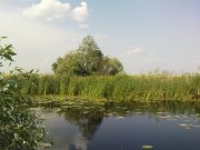DSC04911.JPG
