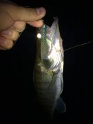 18062011123.jpg
