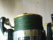 DSC01809.JPG