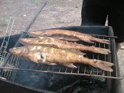 IMG_0167.jpg