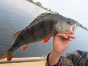 IMG_0543.JPG