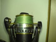 DSC01811.JPG