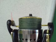 DSC01812.JPG