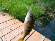 21062011081.jpg