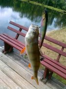 21062011085.jpg