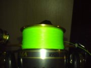 DSC01816.JPG