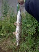 25062011466.jpg