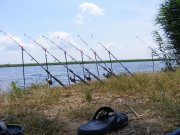 DSCF9359.jpg