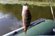 IMG_4838.jpg
