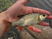 IMG_2422.JPG