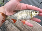 IMG_2423.JPG