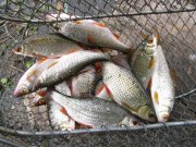 IMG_2427.jpg