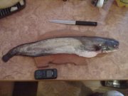 27062011317.jpg