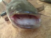 27062011318.jpg