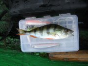 IMG_3941.jpg