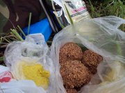 DSC03278.JPG