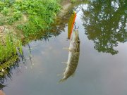 29062011089.jpg