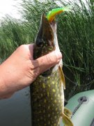 IMG_1982.JPG