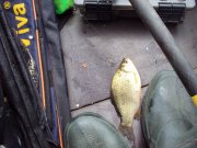 DSC03302.JPG