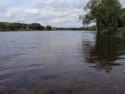 DSC03305.JPG