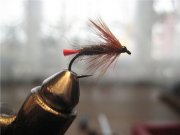 1ec2554f14f0.jpg