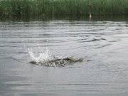 Рыбалка 2011 028.jpg