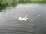 Рыбалка 2011 042.jpg