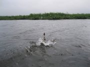 IMG_6067.jpg