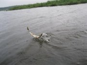 IMG_6069.JPG