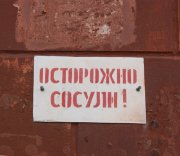 DSC05999.jpg