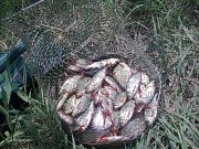 Спецвыпуск000.jpg