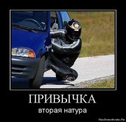 1307525188_985029_privyichka.jpg