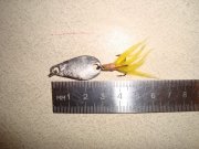 DSC03973.jpg