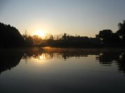 IMG_3950.jpg