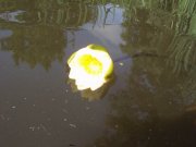 DSC03327.JPG