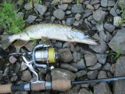 IMG_0154.jpg