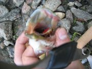 IMG_0158.jpg