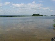 IMG_1847.JPG