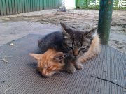 IMAG0057.jpg