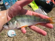 IMG_2446.JPG